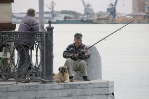 connector 4 thumb 650