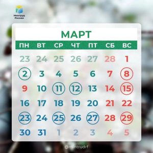 original photo thumb 650 11