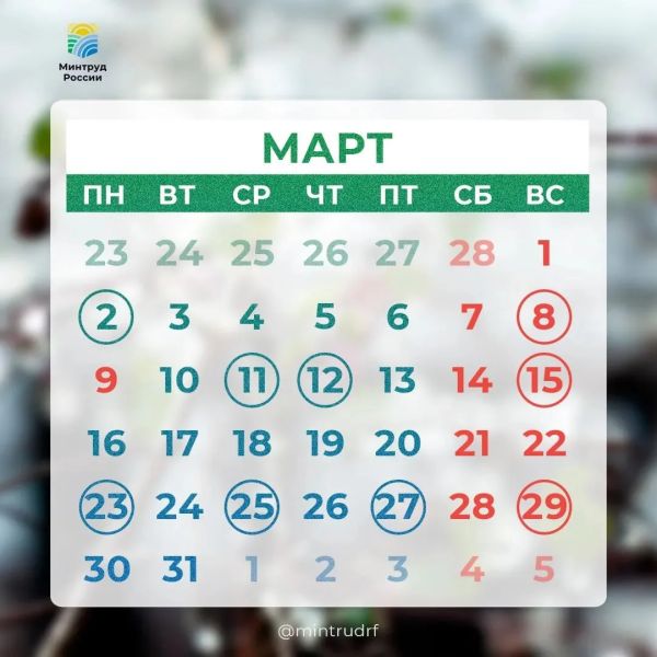 original photo thumb 650 11