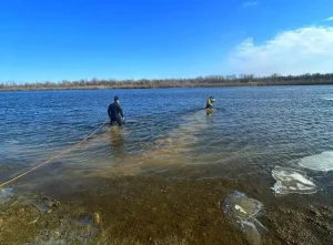 760a4f50 fdc5 4eba 847a 83678d07bd7c