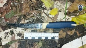 original photo thumb 650 14