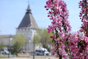 original photo thumb 650 2