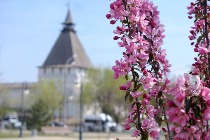 original photo thumb 650 2