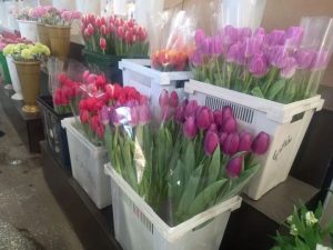 original photo thumb 650 22