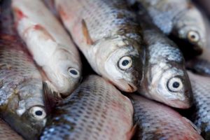 original photo thumb 650 26