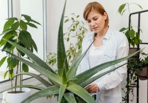 original photo thumb 650 4