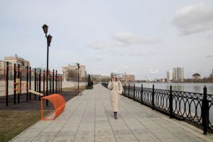 IMG 4423 thumb 650 1