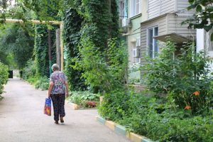 IMG 8849 thumb 650 1