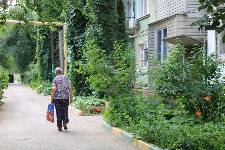 IMG 8849 thumb 650 1