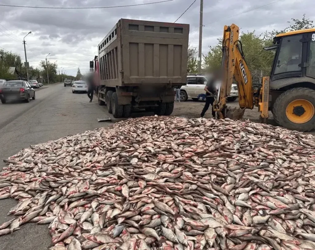 ccbc6c44 adbf 4628 96ec d6b233760795