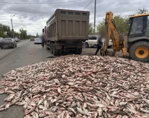 ccbc6c44 adbf 4628 96ec d6b233760795