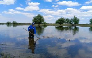 original photo thumb 650 191