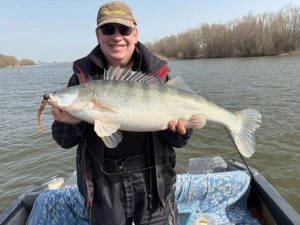 original photo thumb 650 195