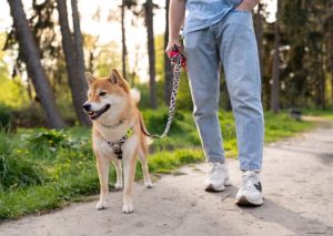 original photo thumb 650 196