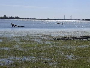 original photo thumb 650 200