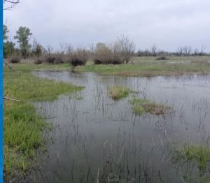 original photo thumb 650 202