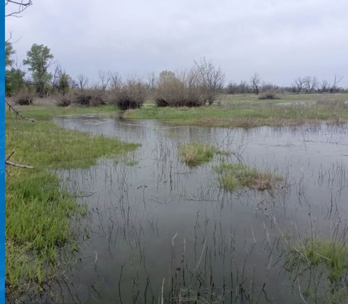 original photo thumb 650 202