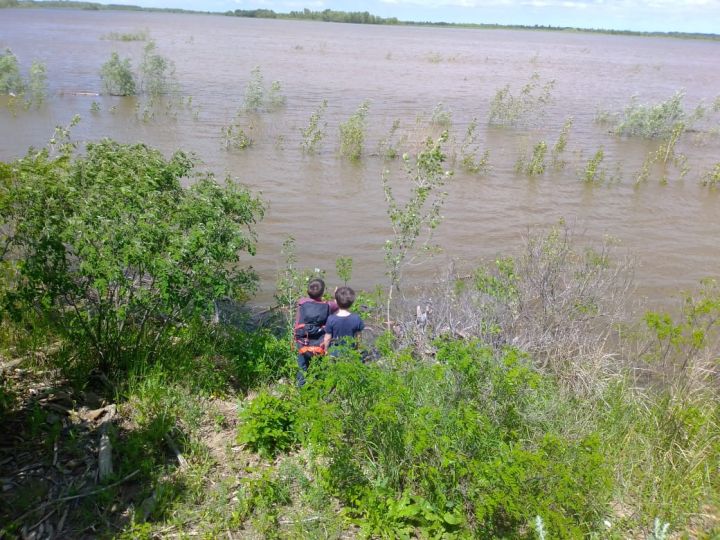 original photo thumb 650 203