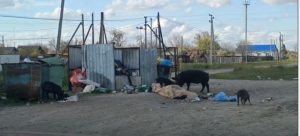 original photo thumb 650 205