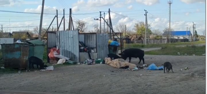 original photo thumb 650 205