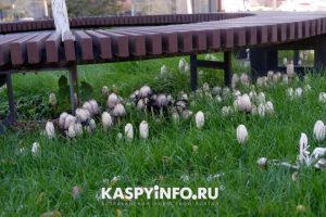 original photo thumb 650 207