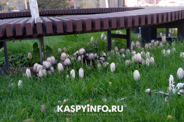 original photo thumb 650 207