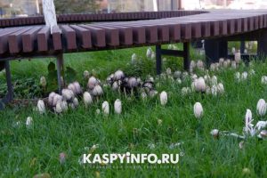 original photo thumb 650 209