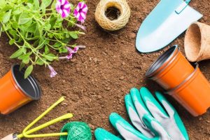 original photo thumb 650 228