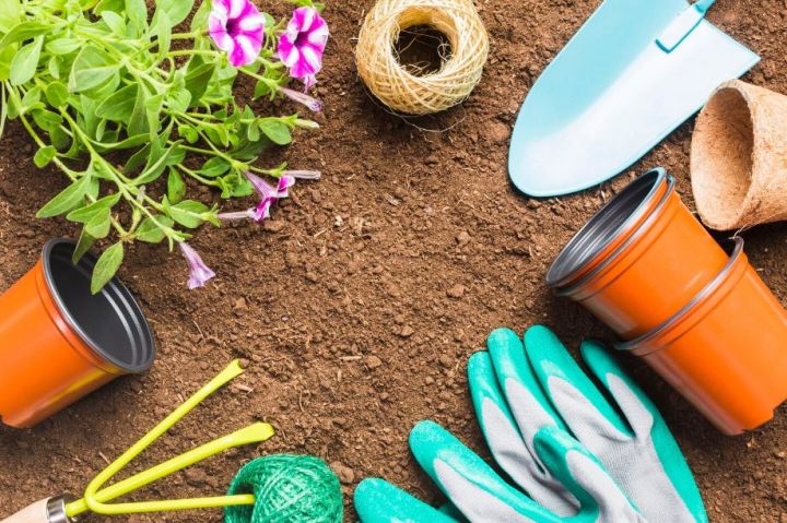 original photo thumb 650 228