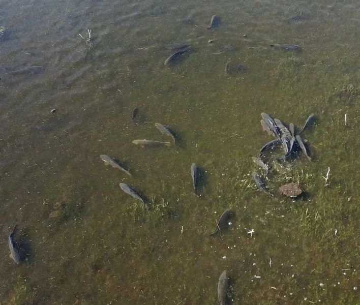 original photo thumb 650 229