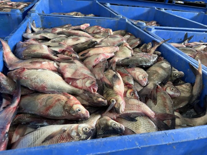 original photo thumb 650 230