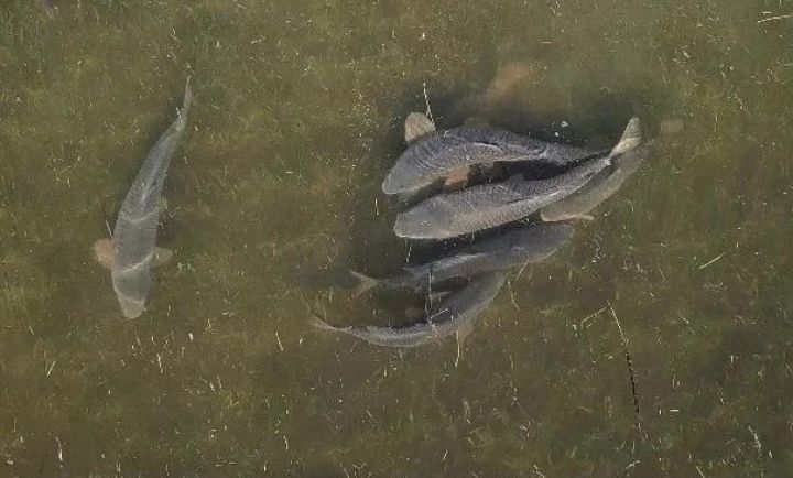 original photo thumb 650 238